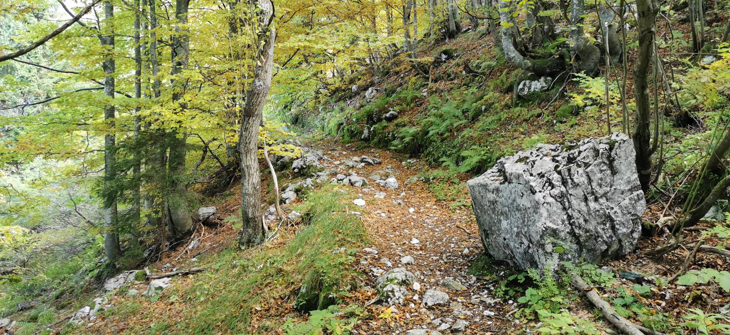 Drežnica - Krn slika 54
