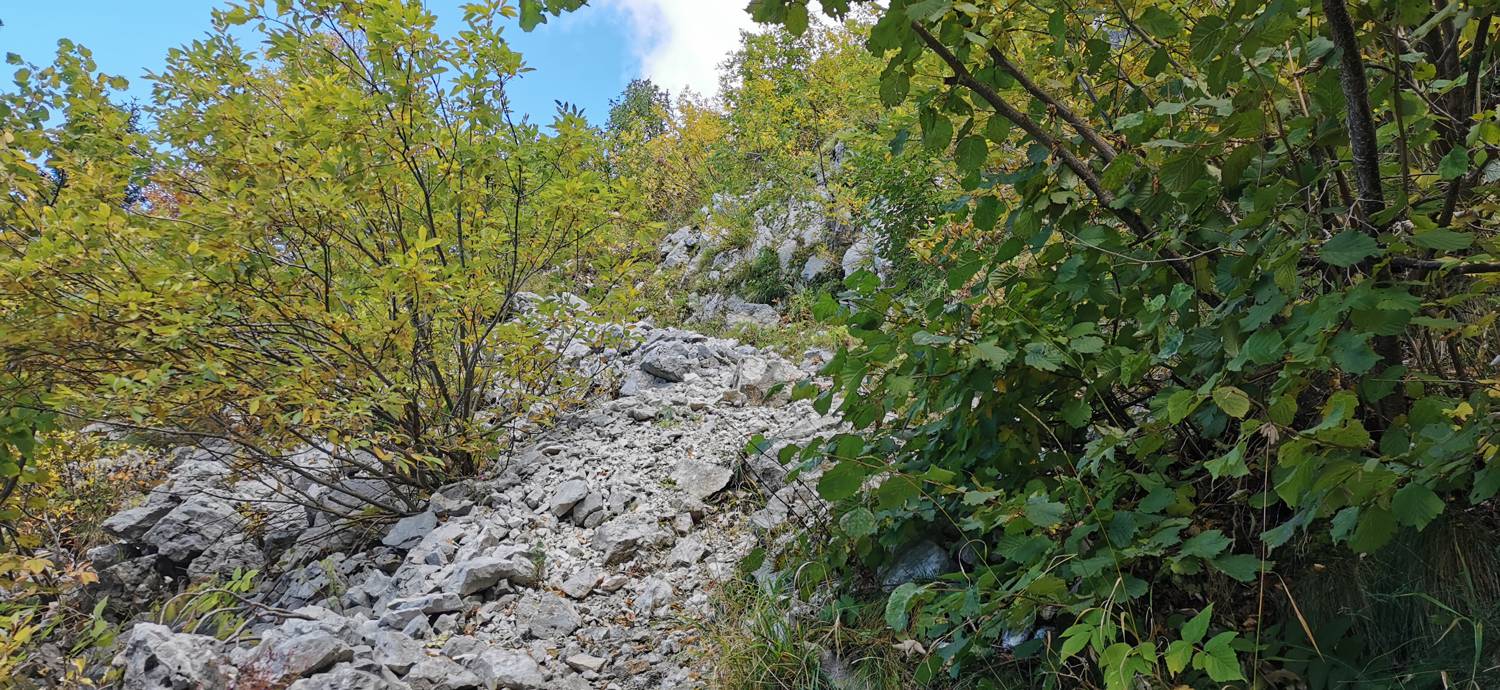 Drežnica - Krn slika 59