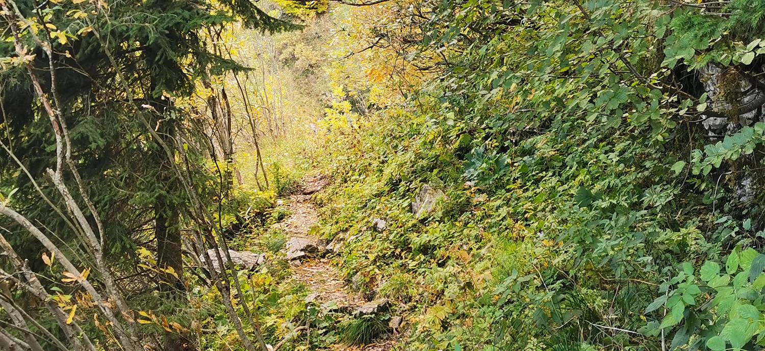 Drežnica - Krn slika 60