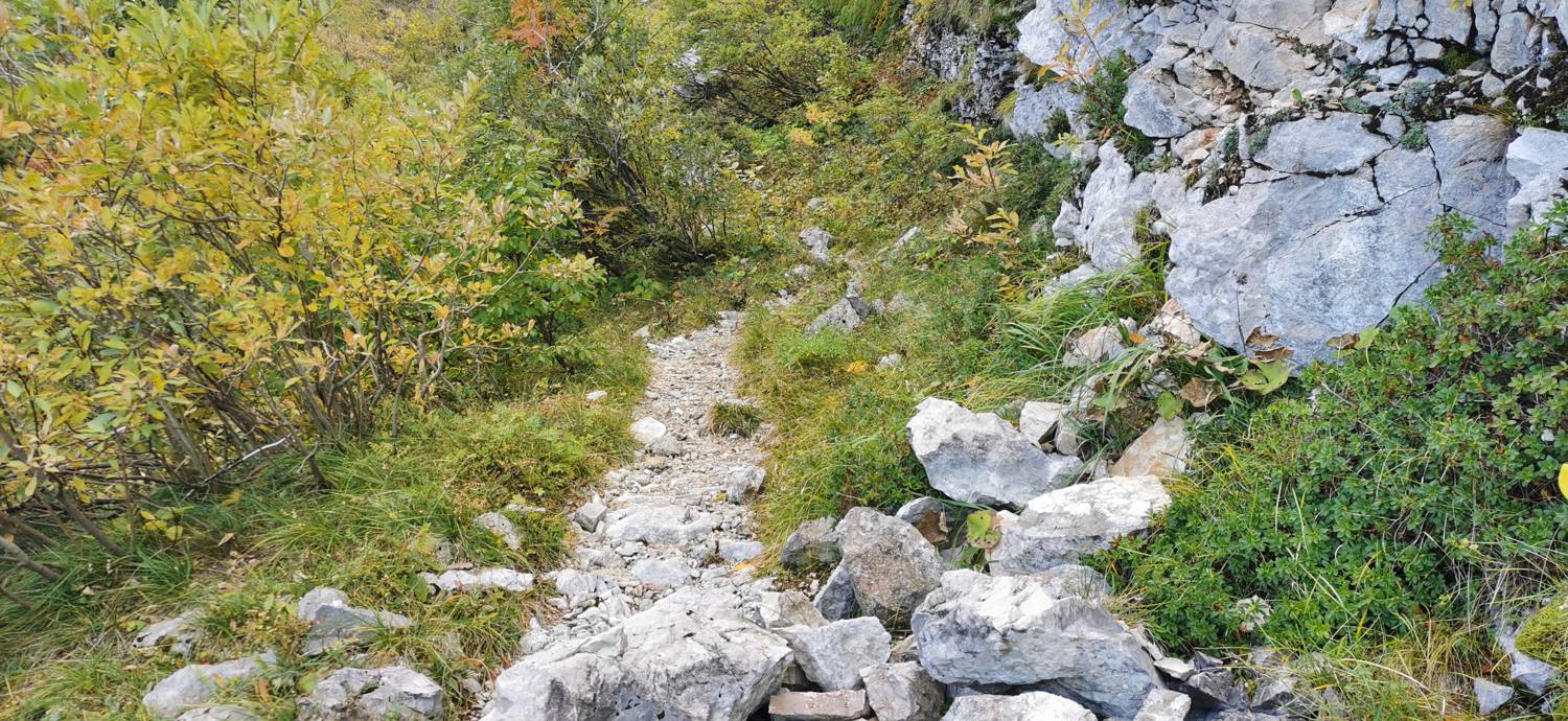 Drežnica - Krn slika 62