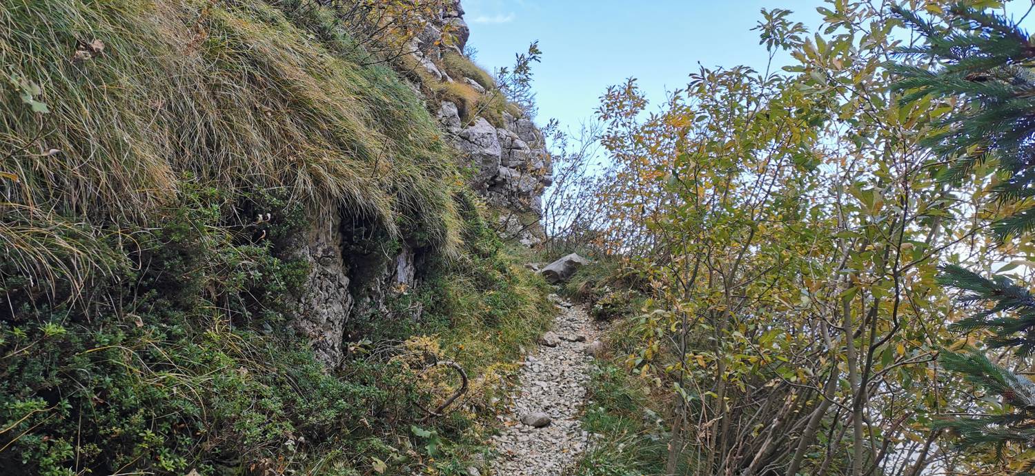 Drežnica - Krn slika 63
