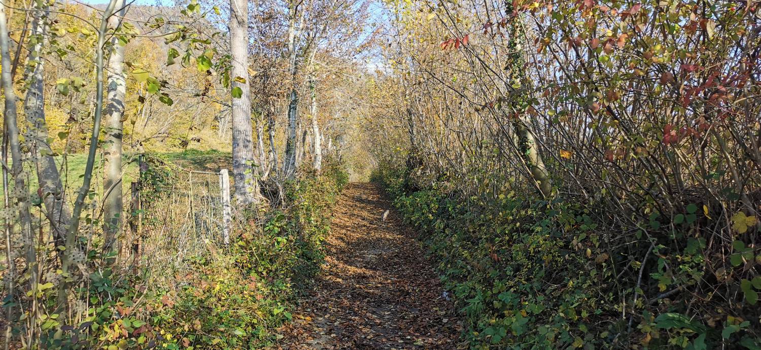 Ladra - Sveti Lovrenc (grob Simona Gregorčiča) slika 3