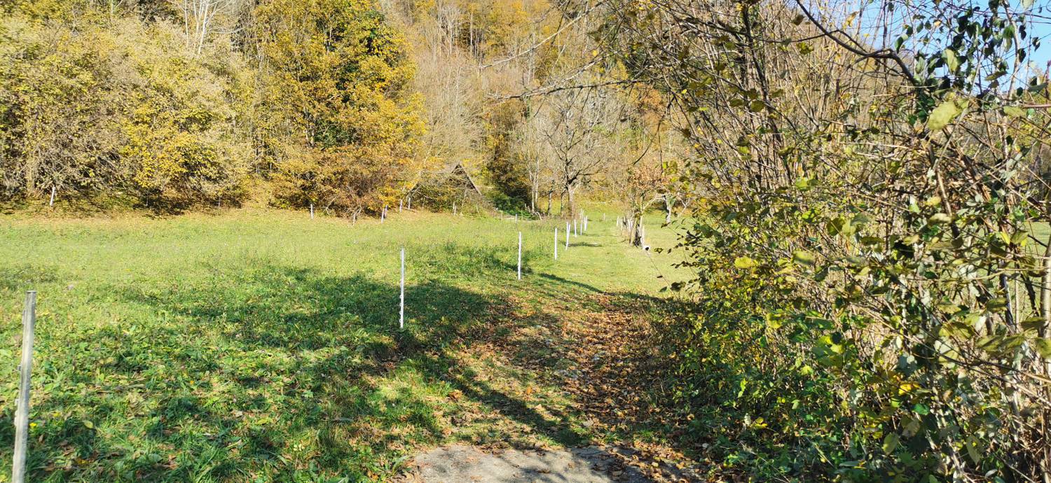 Ladra - Sveti Lovrenc (grob Simona Gregorčiča) slika 4