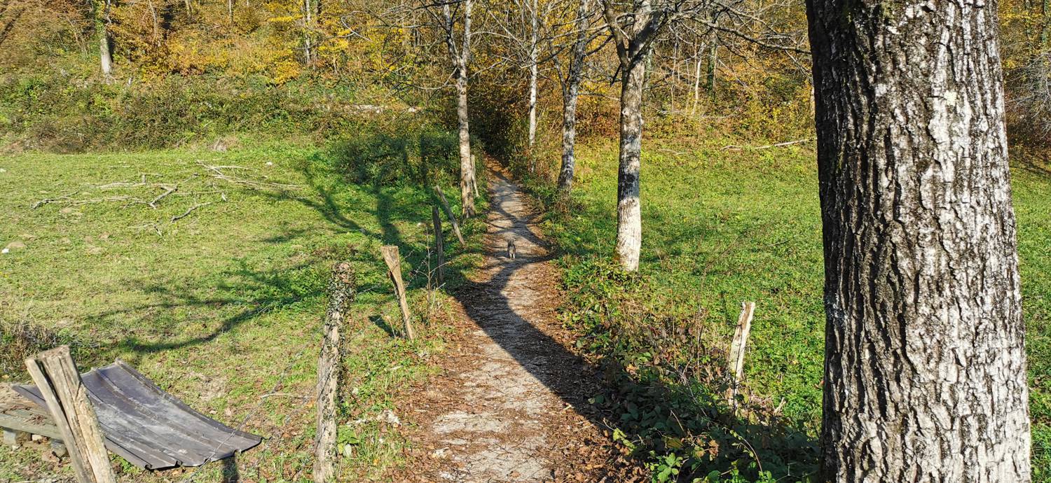 Ladra - Cerkev Svetega duha Libušnje slika 5