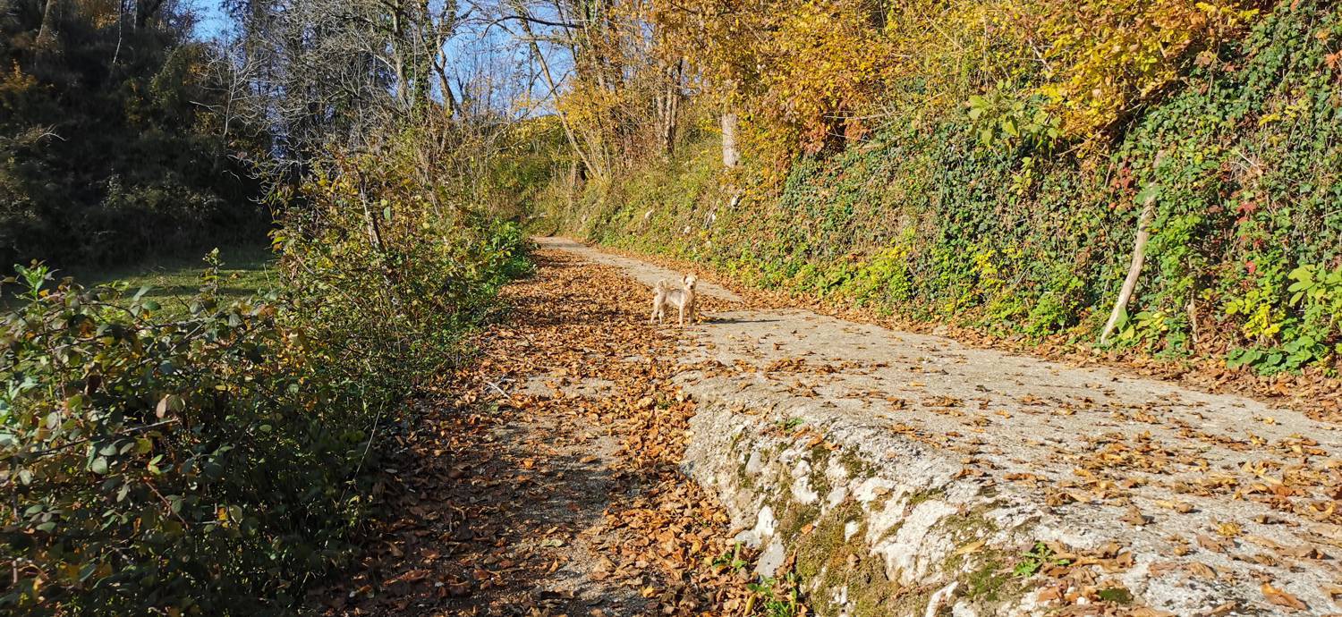 Ladra - Cerkev Svetega duha Libušnje slika 6