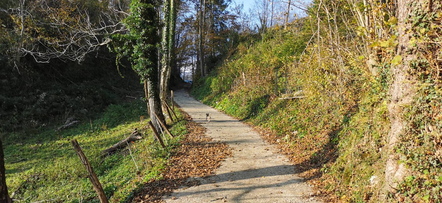 Ladra - Sveti Lovrenc (grob Simona Gregorčiča) slika 7