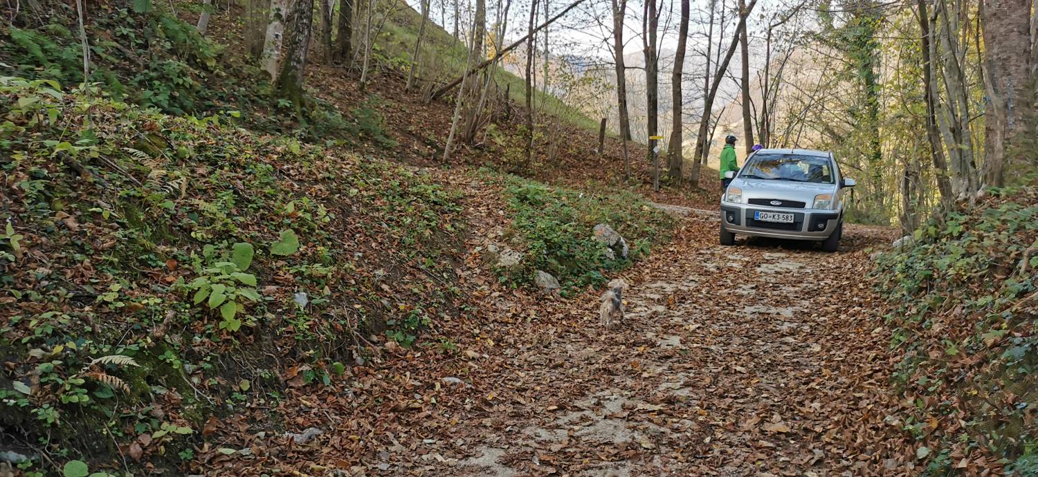 Ladra - Sveti Lovrenc (grob Simona Gregorčiča) slika 8