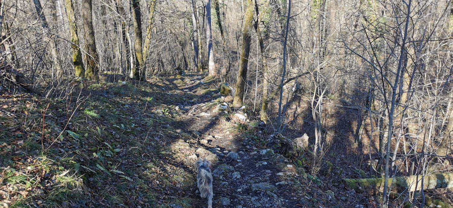 Italijanska kostnica - Baba nad Kobaridom slika 6
