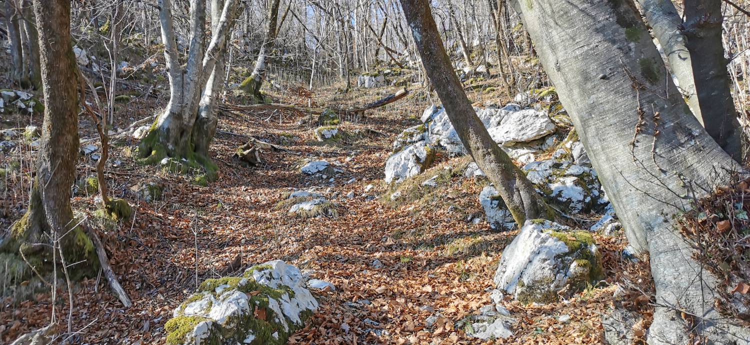 Italijanska kostnica - Baba nad Kobaridom slika 14