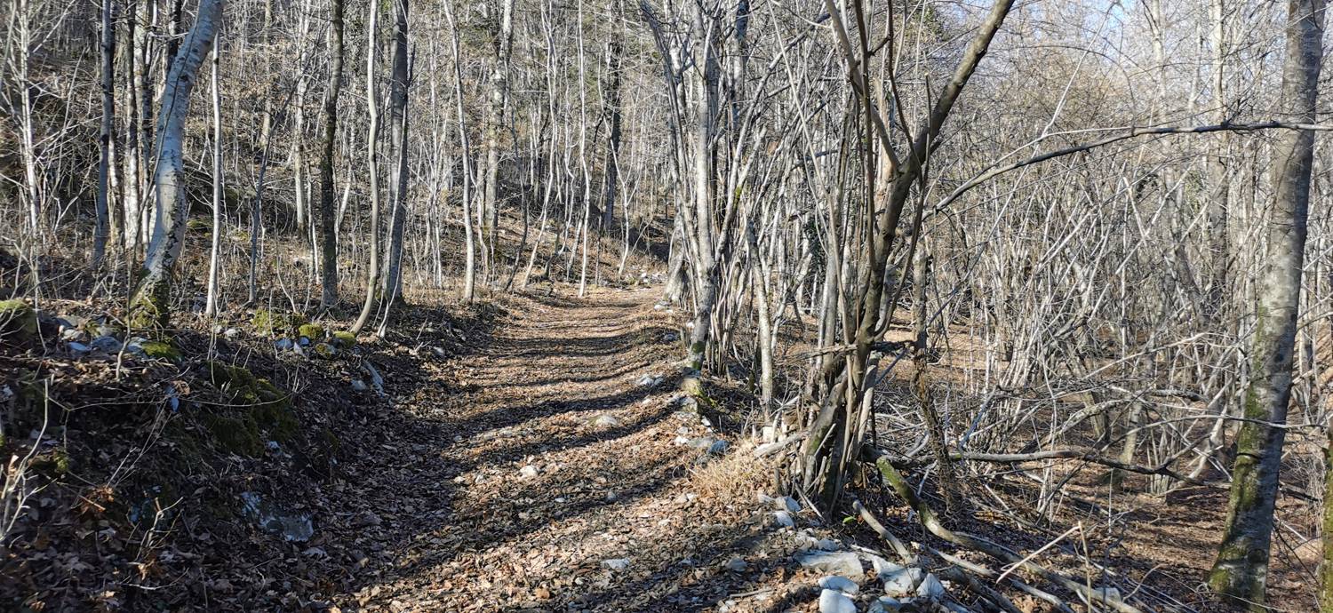 Čiginj - Sleme (Solariji) slika 27