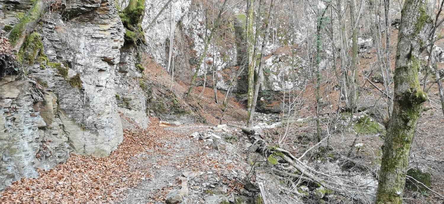 Čiginj - Čiginj slika 30