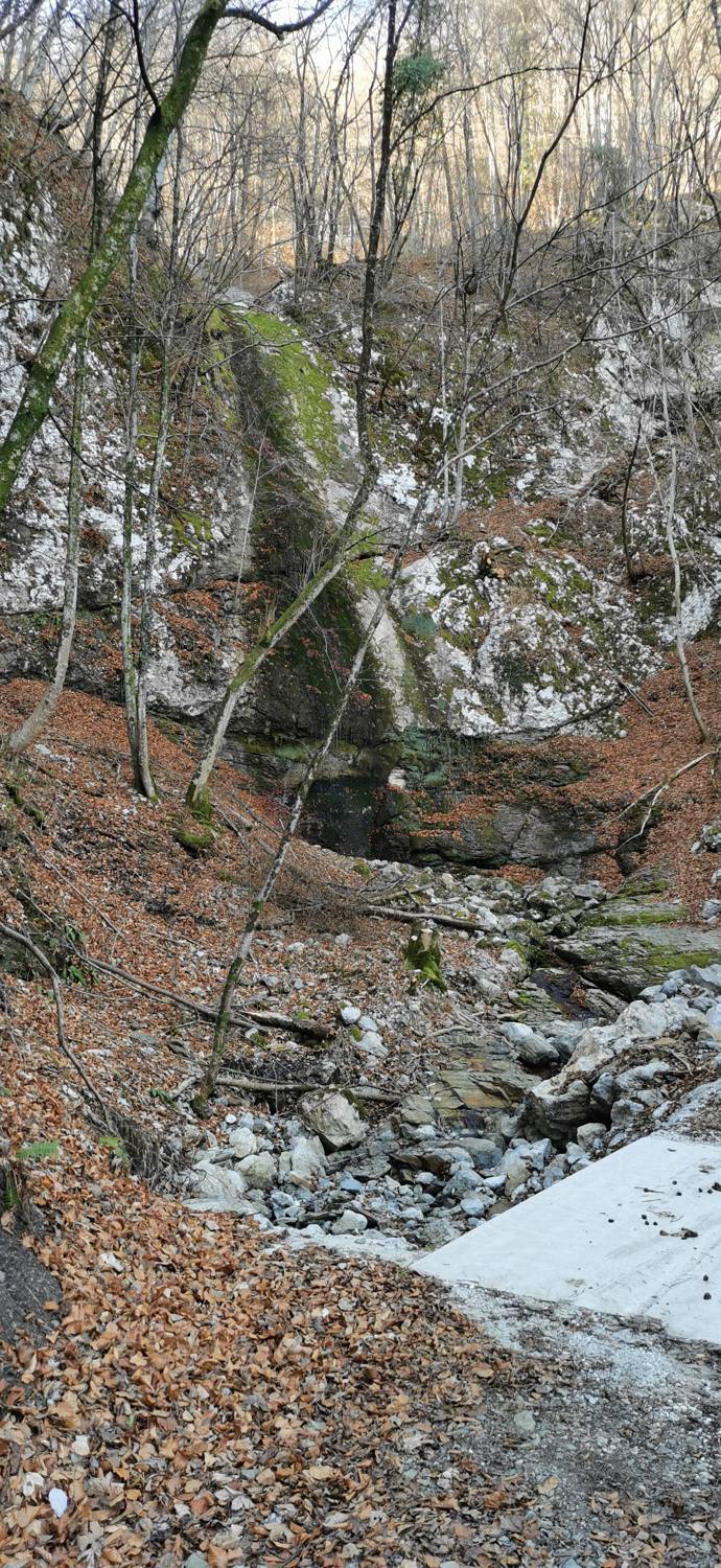 Čiginj - Čiginj slika 31