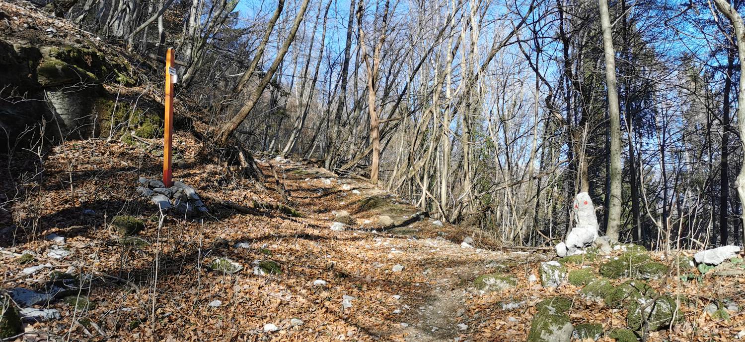 Čiginj - Čiginj slika 34