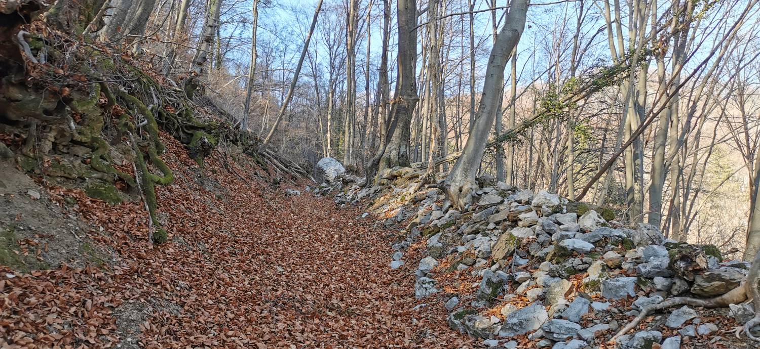 Čiginj - Sleme (Solariji) slika 37