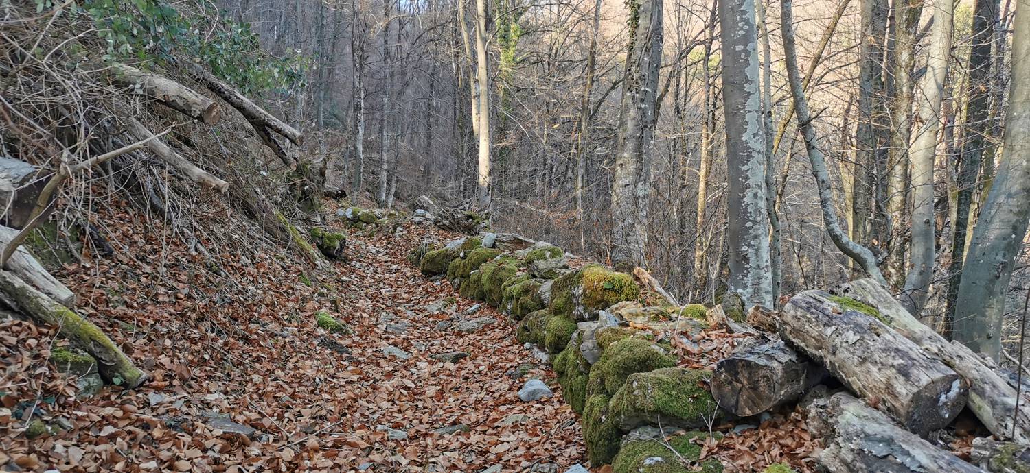 Čiginj - Sleme (Solariji) slika 38