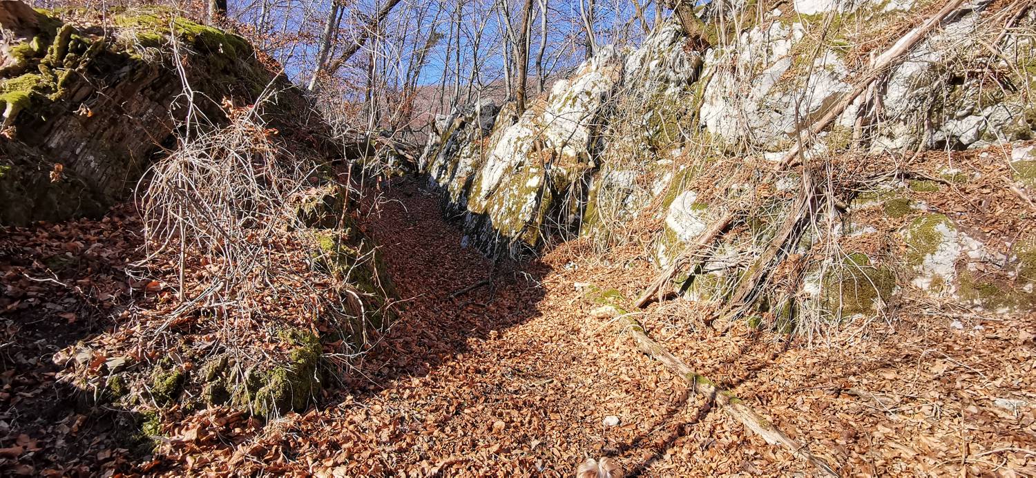 Čiginj - Čiginj slika 41