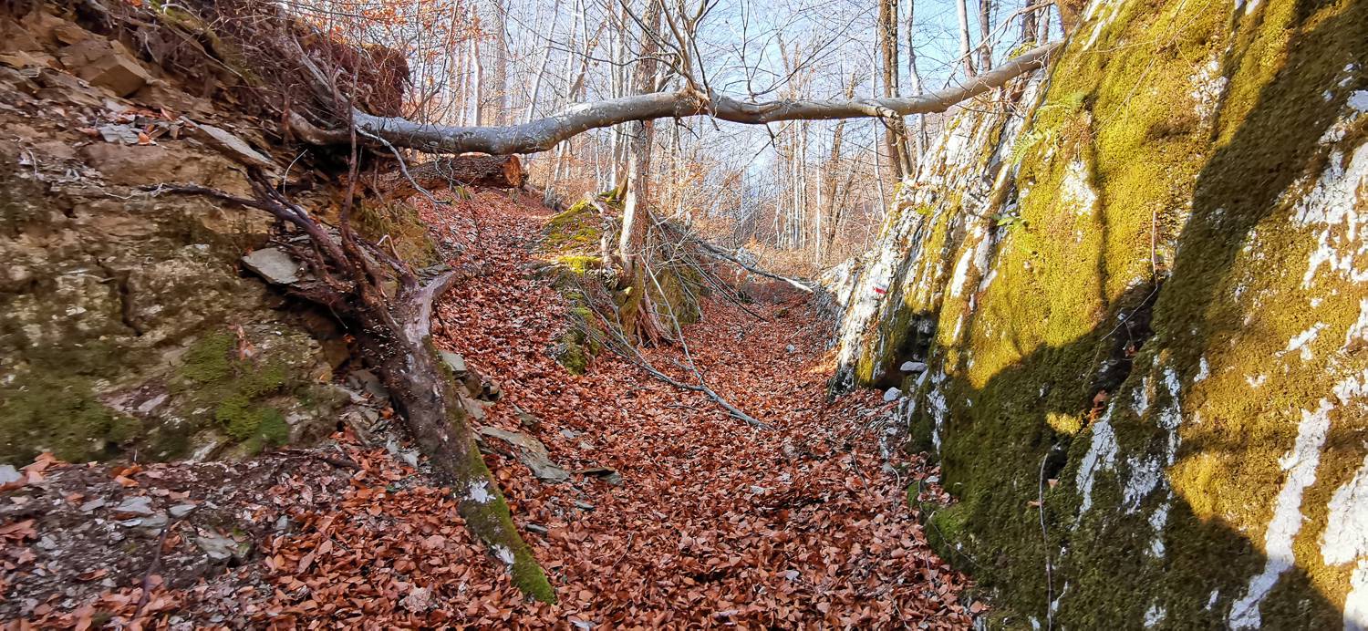 Čiginj - Čiginj slika 42