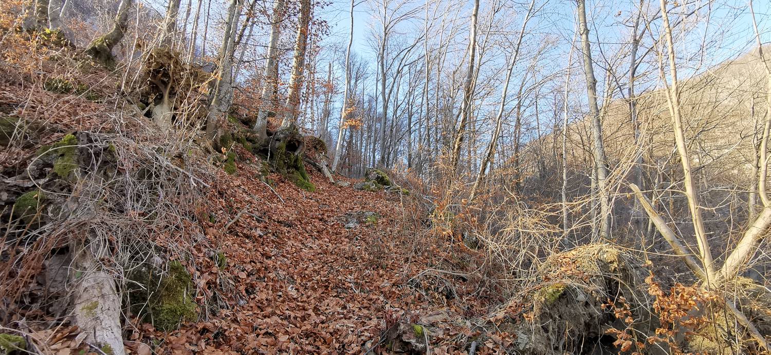 Čiginj - Sleme (Solariji) slika 44