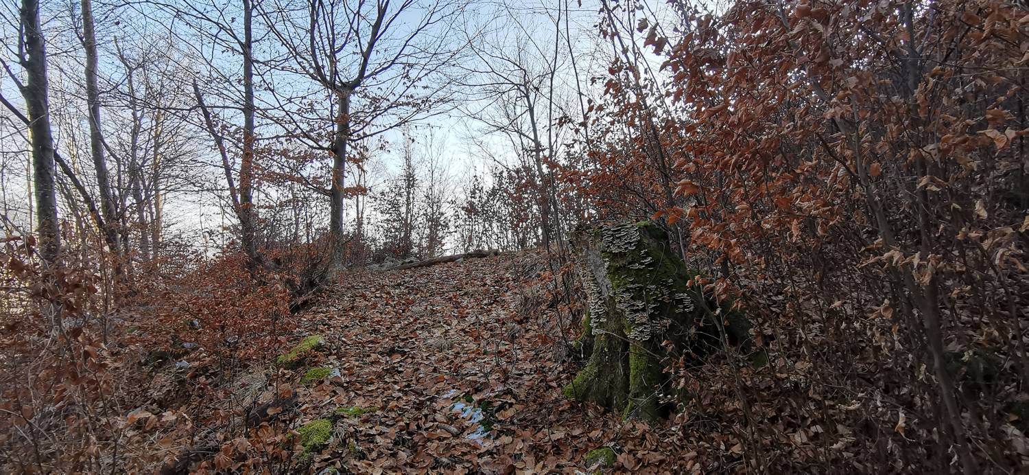 Čiginj - Čiginj slika 44