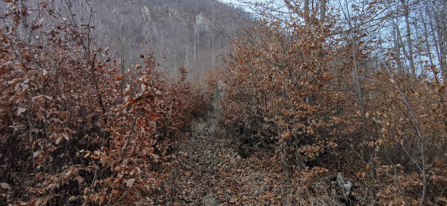 Čiginj - Čiginj slika 45