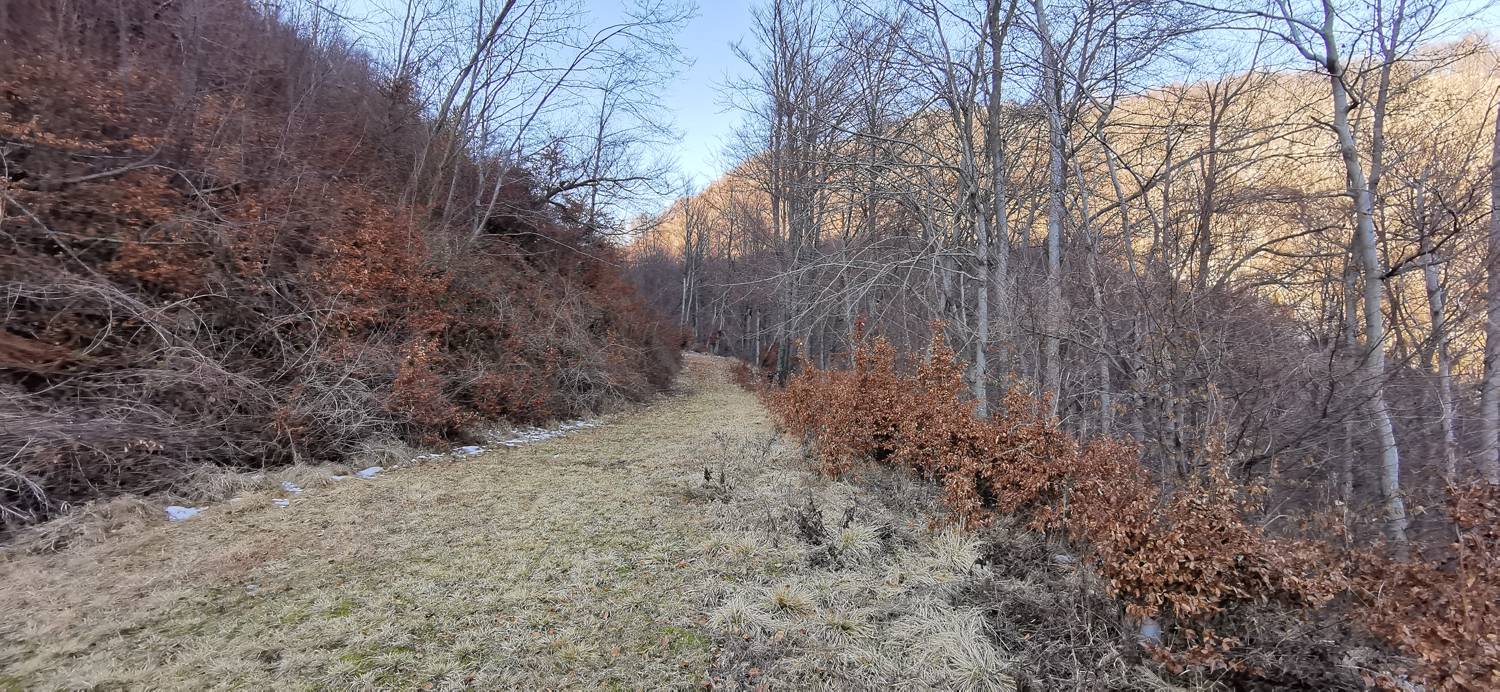 Čiginj - Sleme (Solariji) slika 48