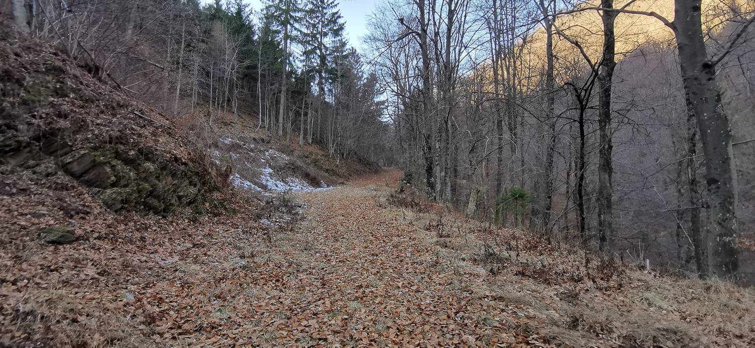 Čiginj - Čiginj slika 48