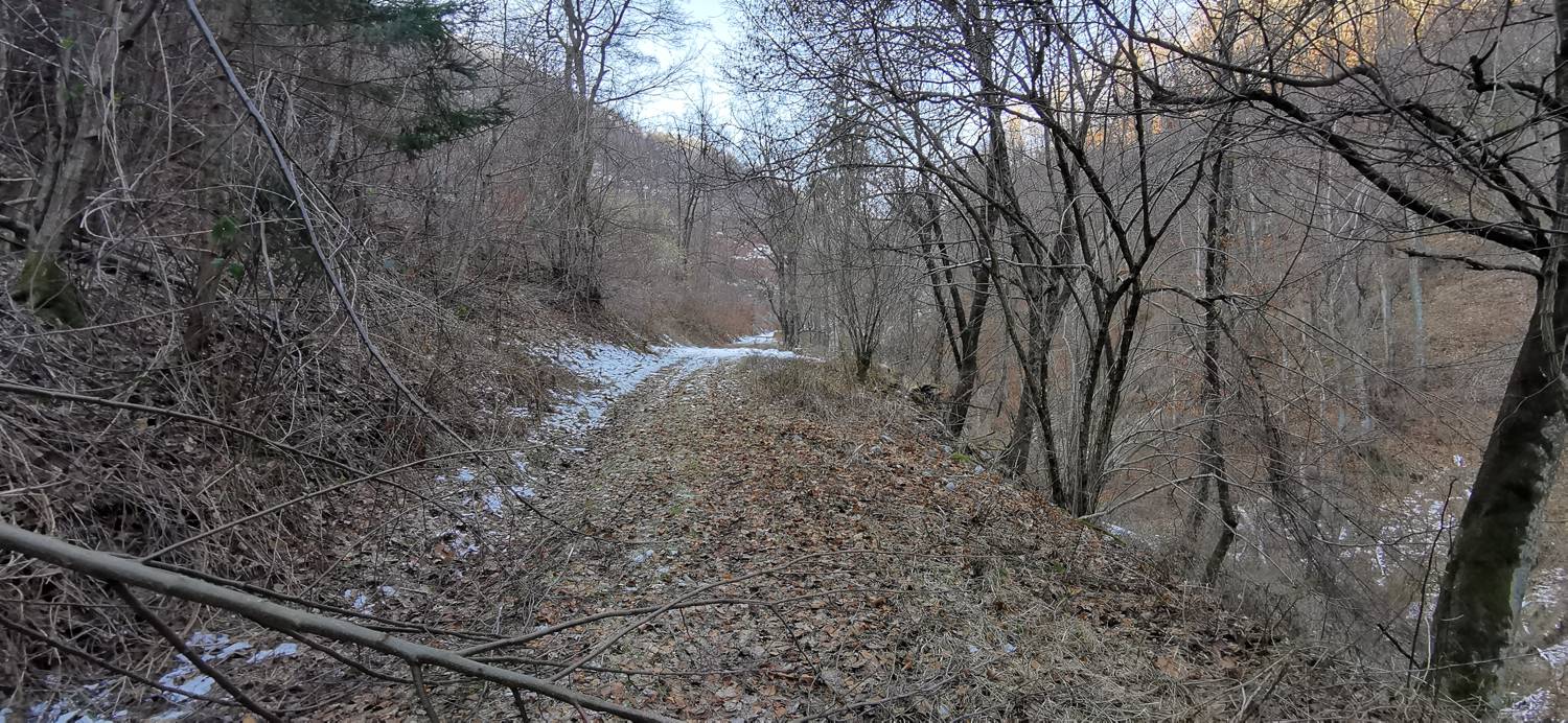 Čiginj - Čiginj slika 49