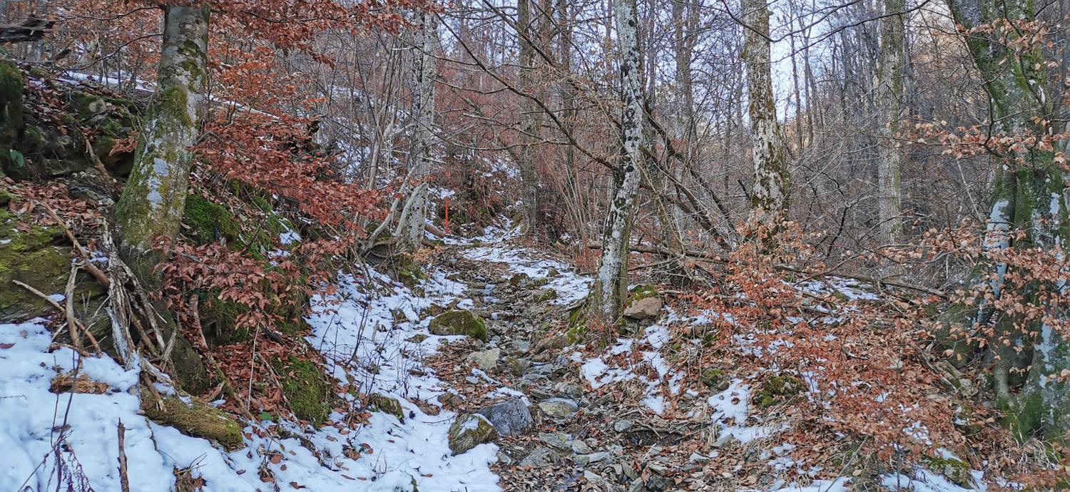 Čiginj - Sleme (Solariji) slika 55