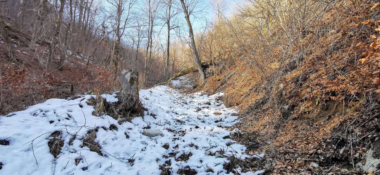 Čiginj - Sleme (Solariji) slika 62