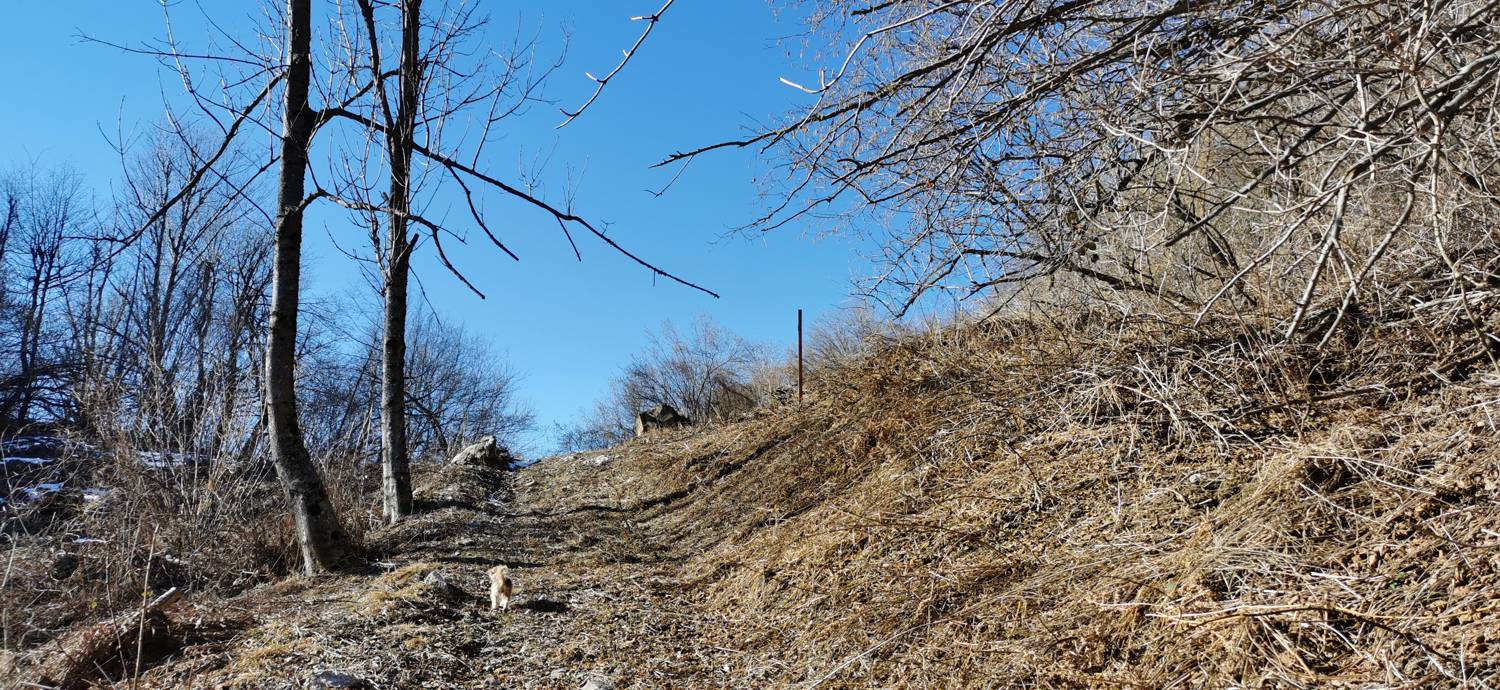 Čiginj - Sleme (Solariji) slika 69