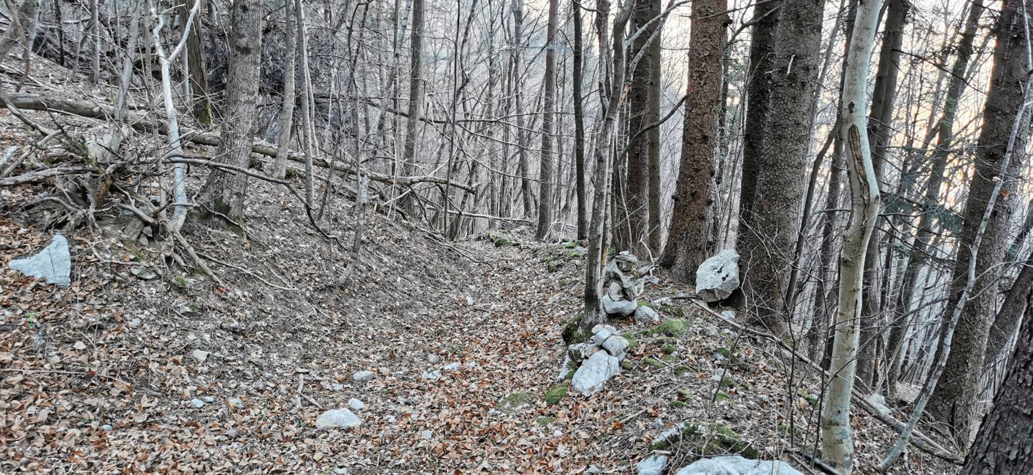 Čiginj - Čiginj slika 73