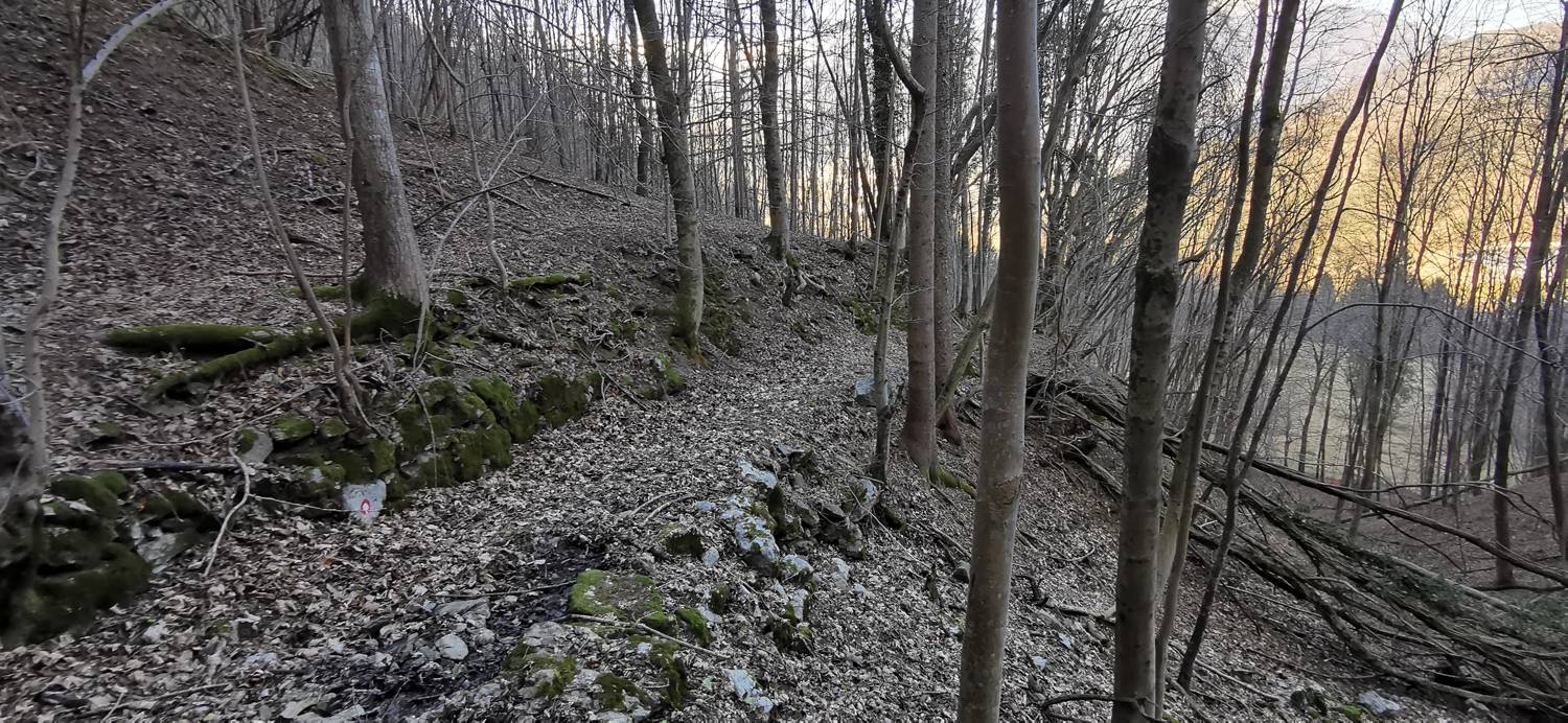 Čiginj - Čiginj slika 78
