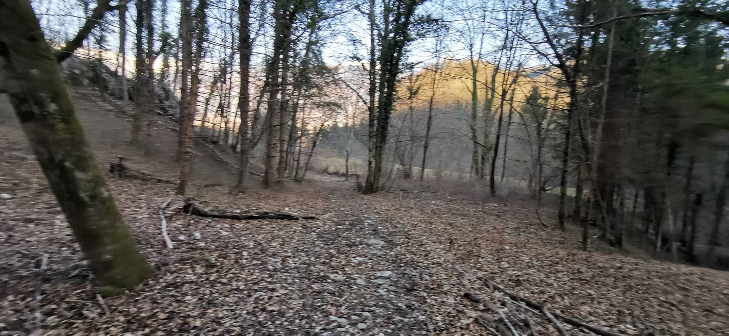Čiginj - Čiginj slika 81