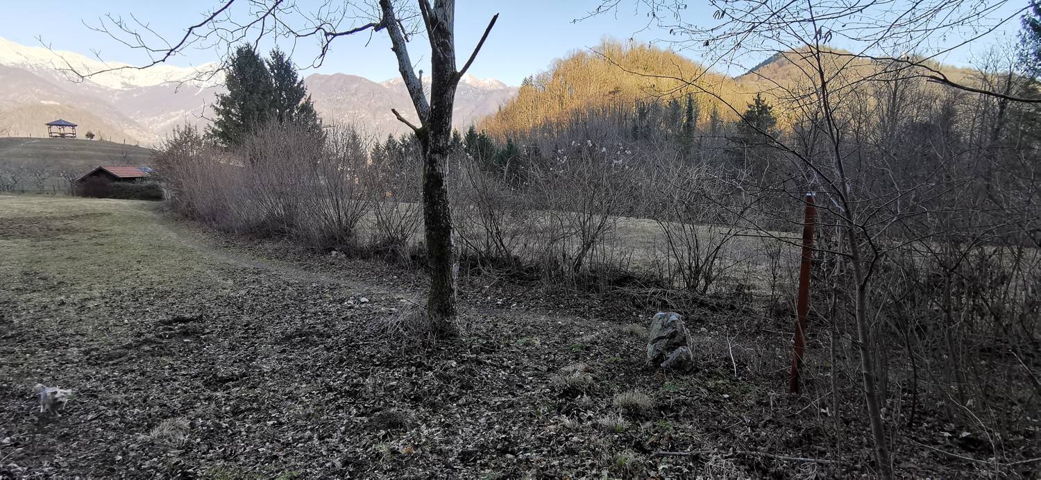 Čiginj - Čiginj slika 82