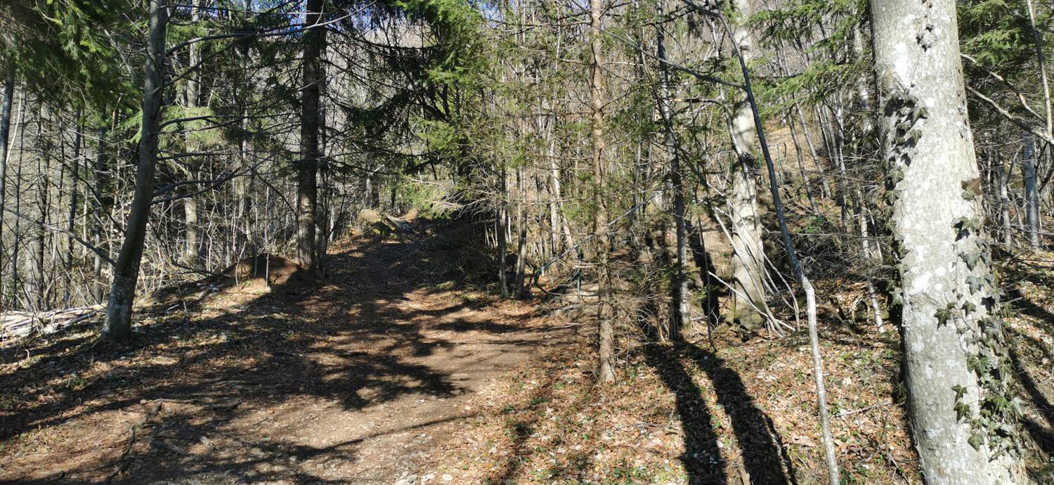 Planina (Mirna gora) - Dom na Mirni gori slika 12