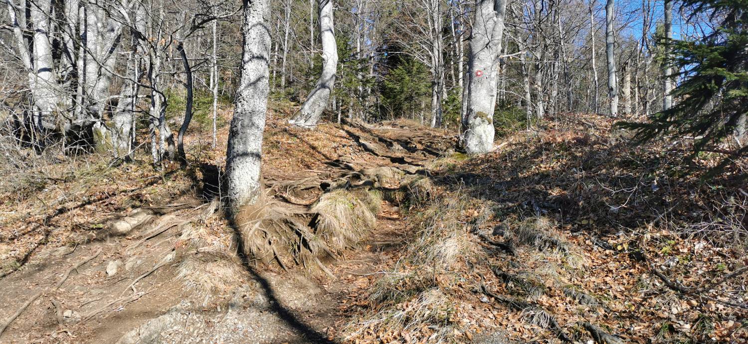 Planina (Mirna gora) - Dom na Mirni gori slika 15
