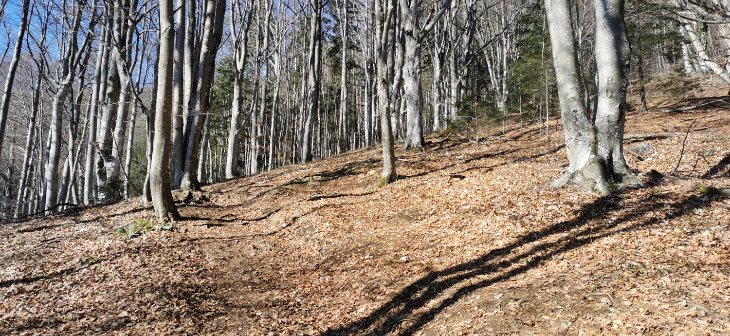 Planina (Mirna gora) - Dom na Mirni gori slika 17