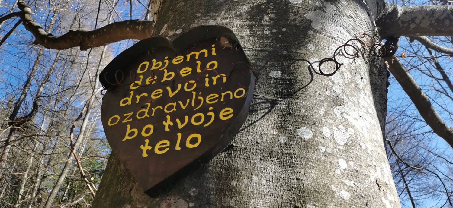 Planina (Mirna gora) - Dom na Mirni gori slika 18