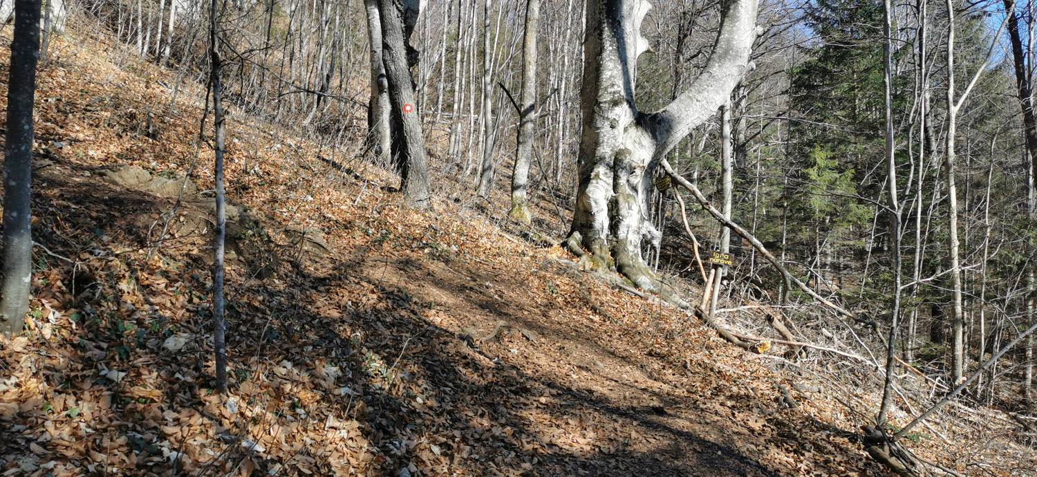 Planina (Mirna gora) - Dom na Mirni gori slika 19