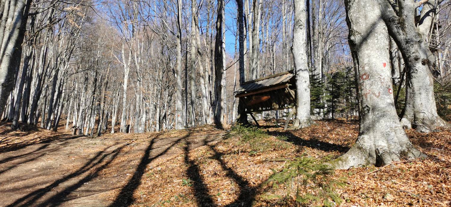Planina (Mirna gora) - Dom na Mirni gori slika 21