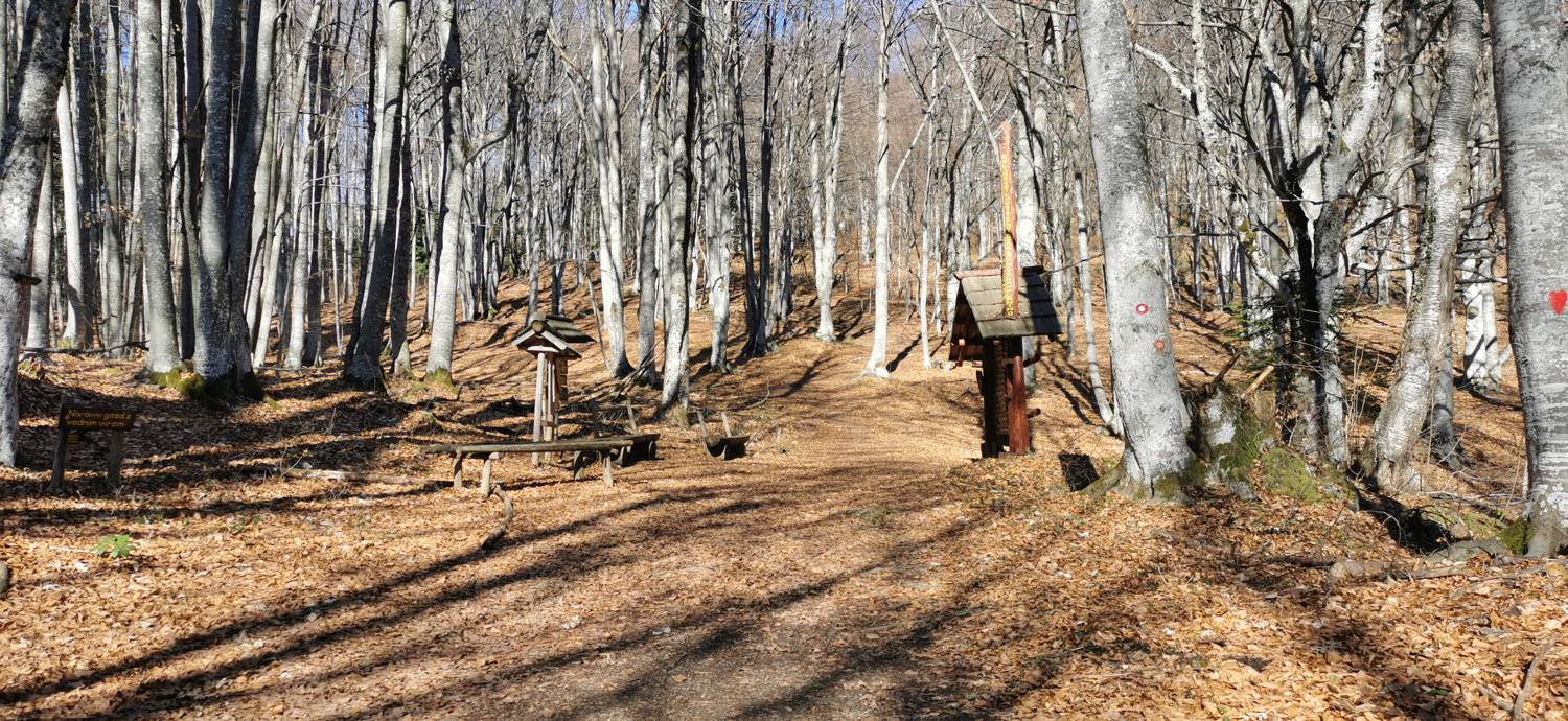 Planina (Mirna gora) - Dom na Mirni gori slika 22