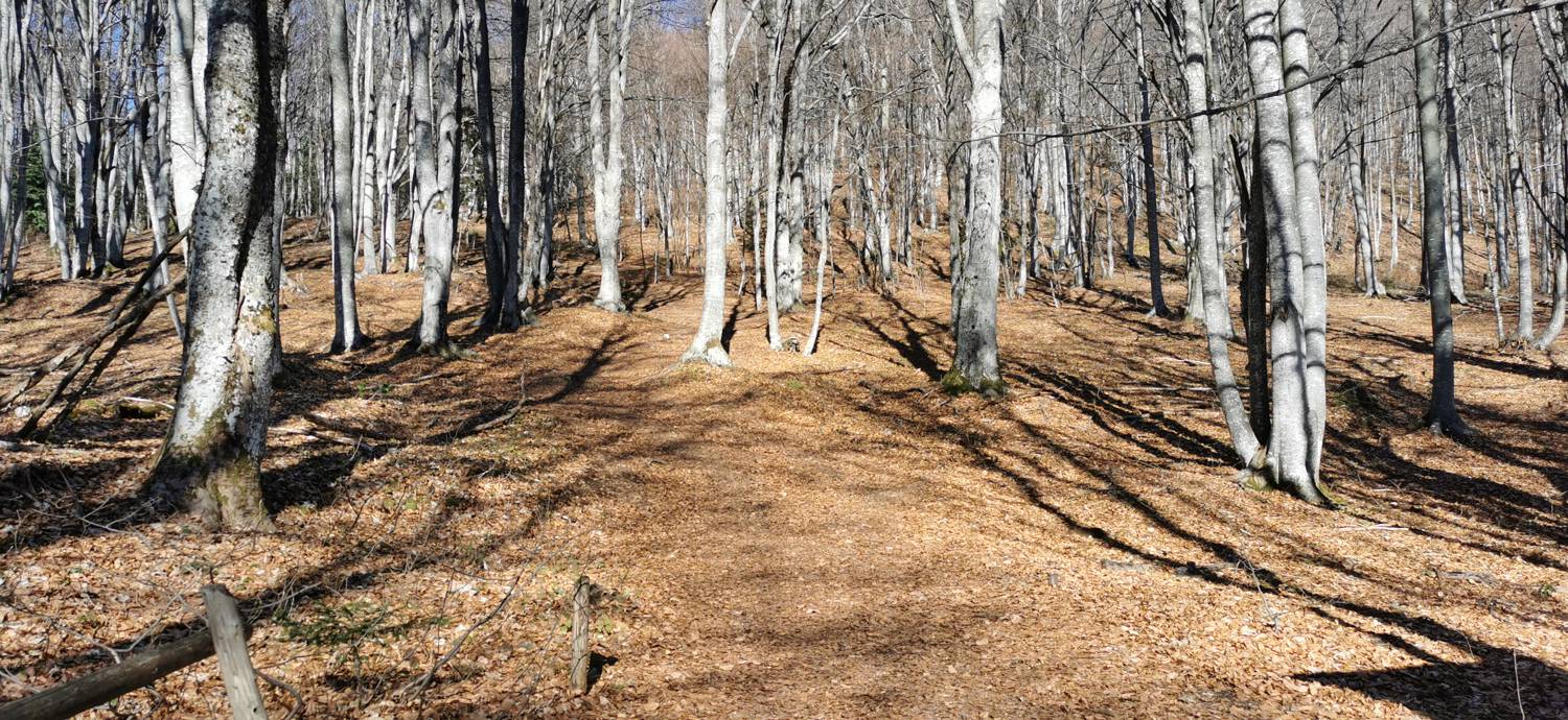 Planina (Mirna gora) - Dom na Mirni gori slika 25
