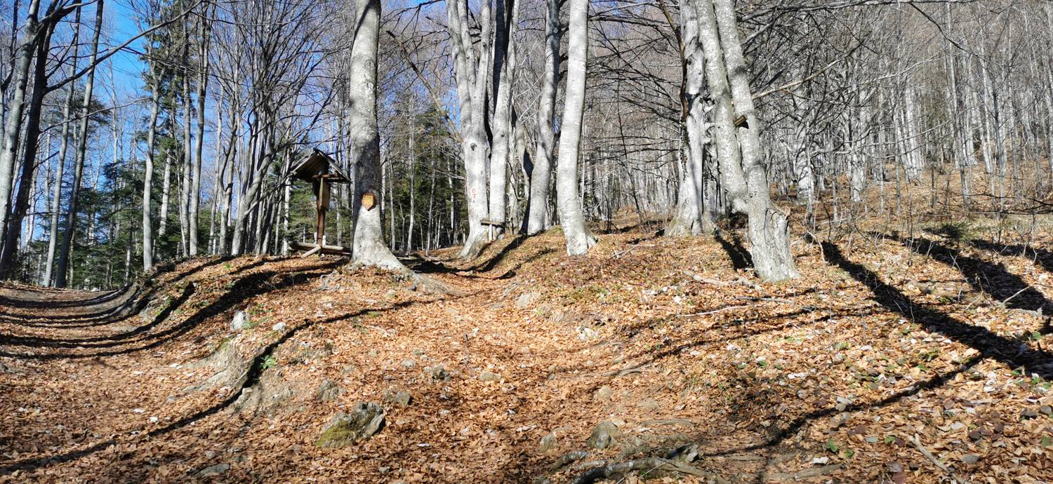 Planina (Mirna gora) - Dom na Mirni gori slika 26