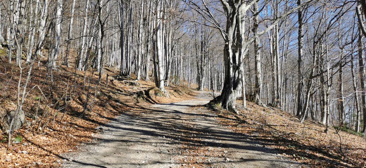 Planina (Mirna gora) - Dom na Mirni gori slika 27