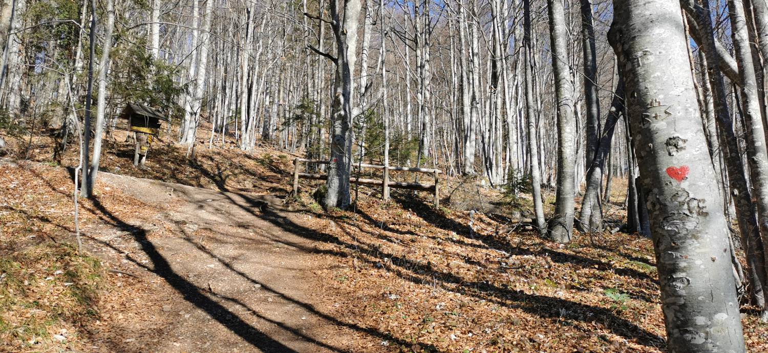 Planina (Mirna gora) - Dom na Mirni gori slika 28