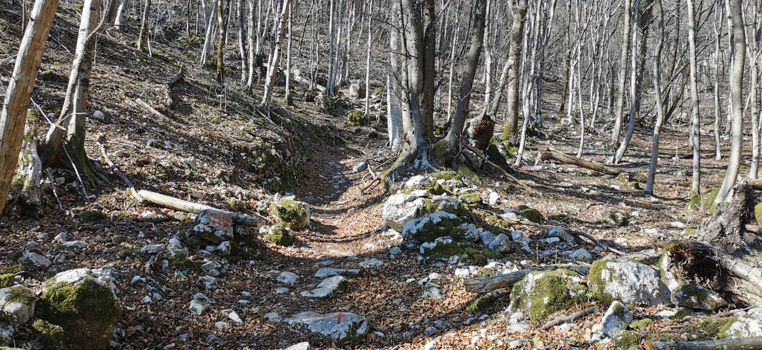 Italijanska kostnica - Baba nad Kobaridom slika 23