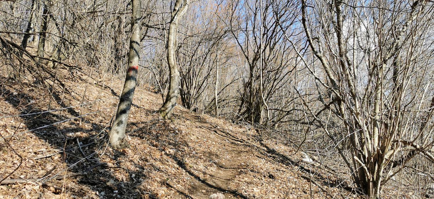Italijanska kostnica - Baba nad Kobaridom slika 37