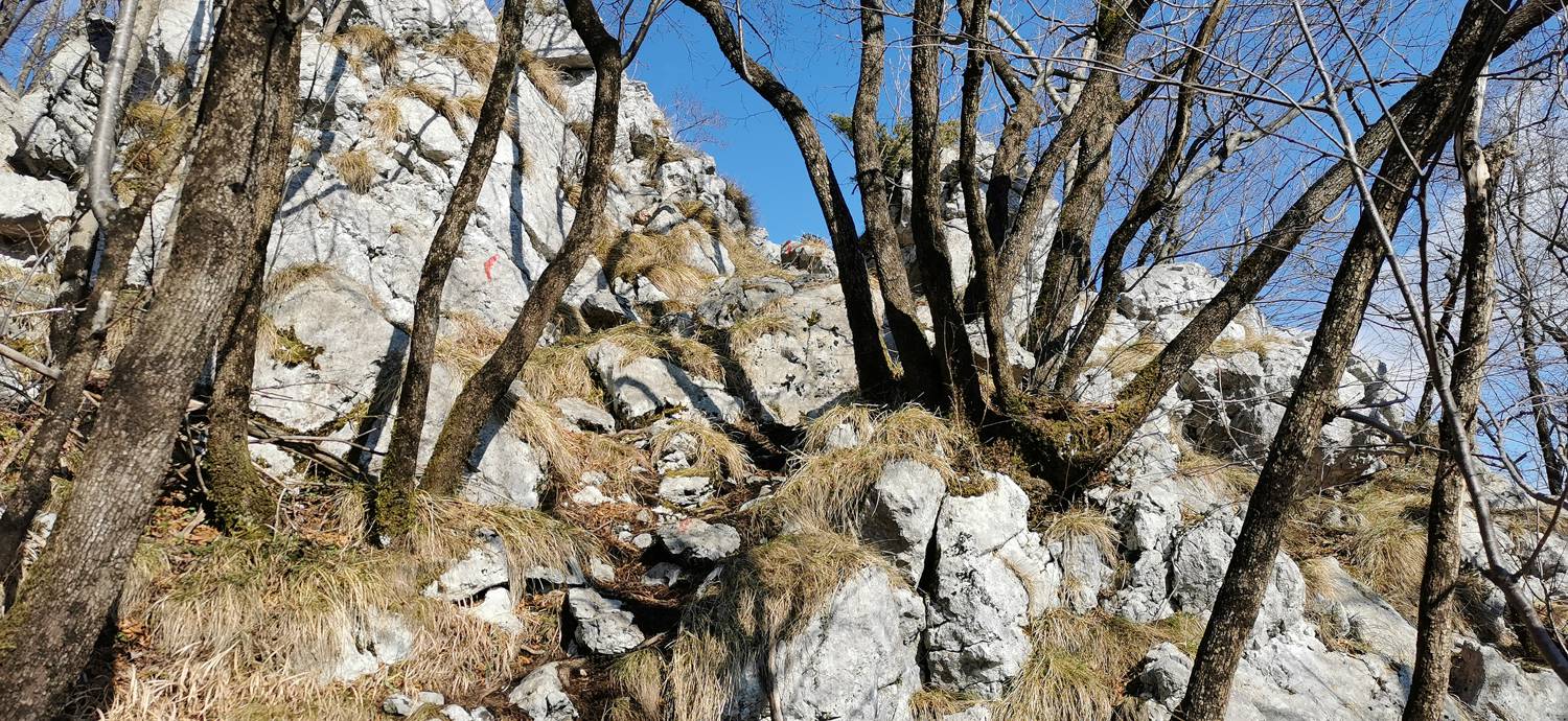 Italijanska kostnica - Baba nad Kobaridom slika 41