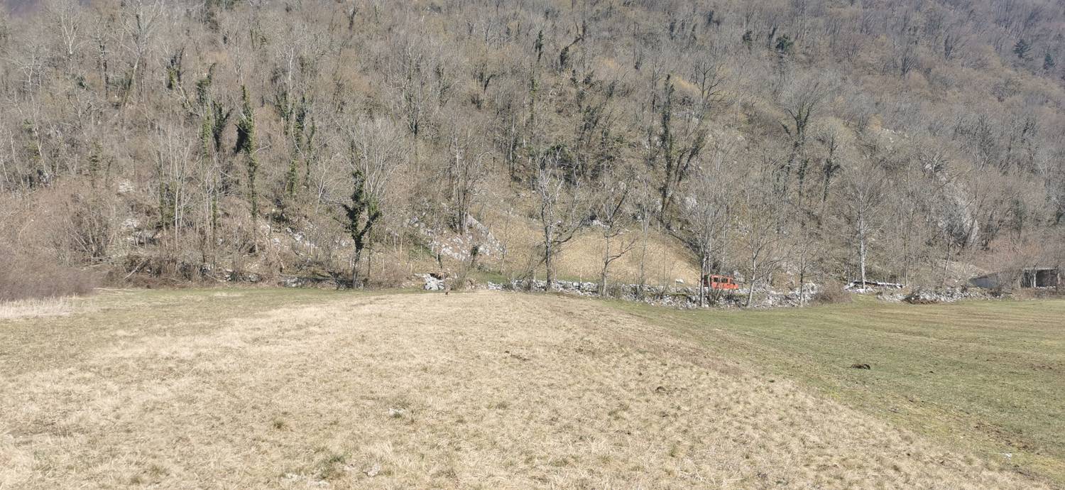 Ladra - Ladra slika 4