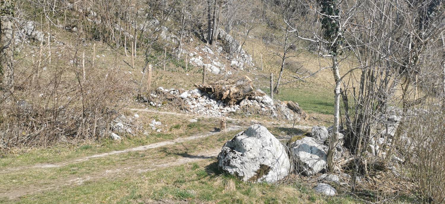 Ladra - Ladra slika 5